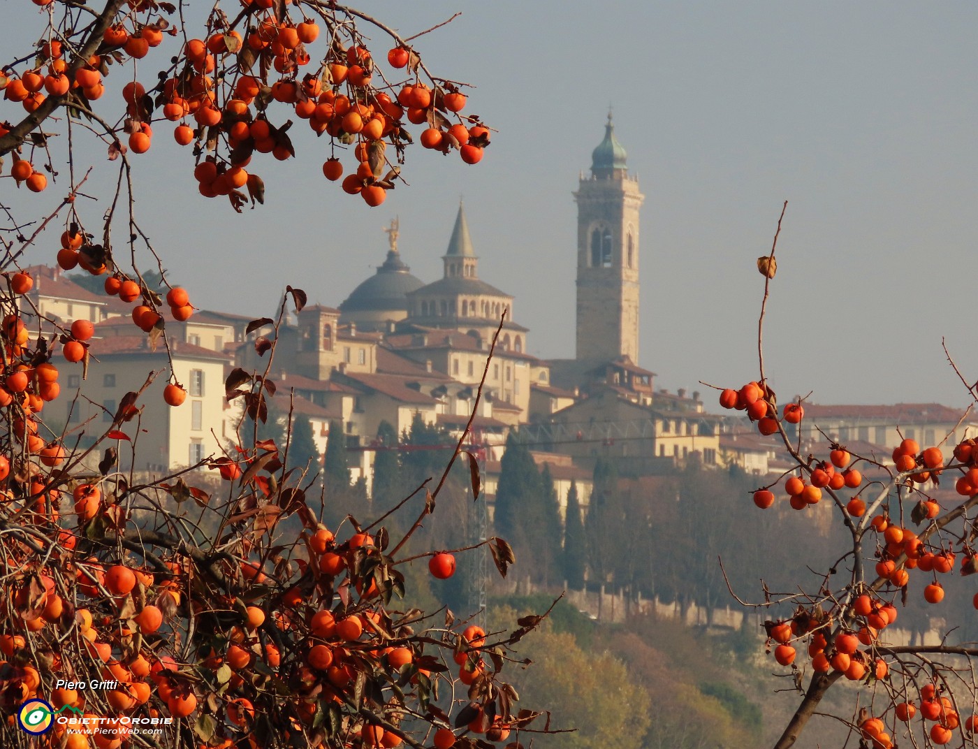 Da Via Borgo Canale bella vista in Città Alta - Santa Maria Maggiore tra ...i cachi maturi